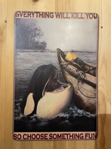 Arktische Orca Expedition